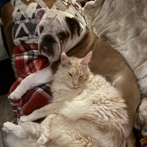 Meet your Posher, Cindi - Picture 7 of 8